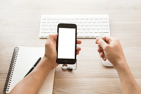 飘带麋鹿寓意什么含义